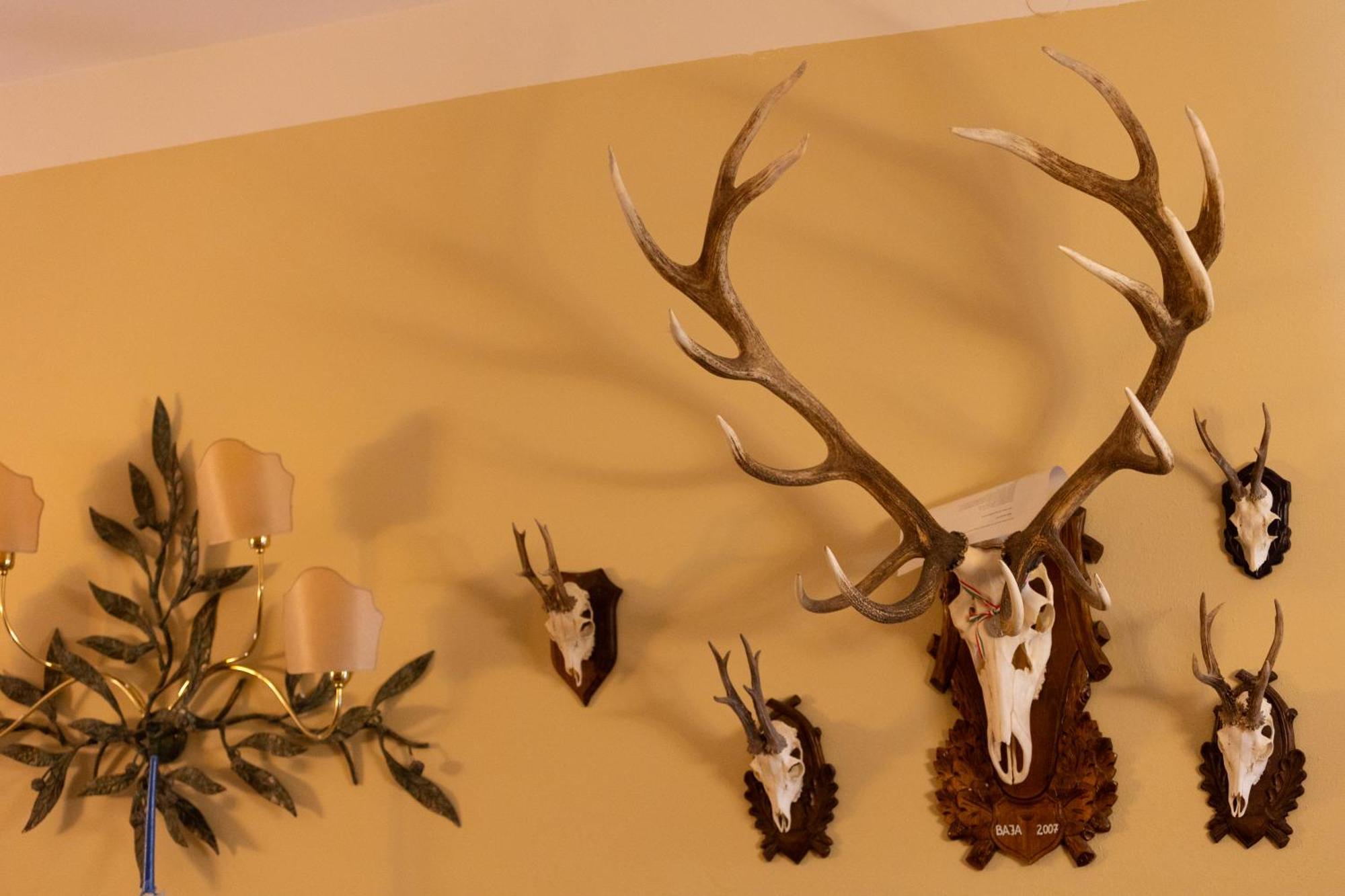 Olea Holiday home Sant'Ellero