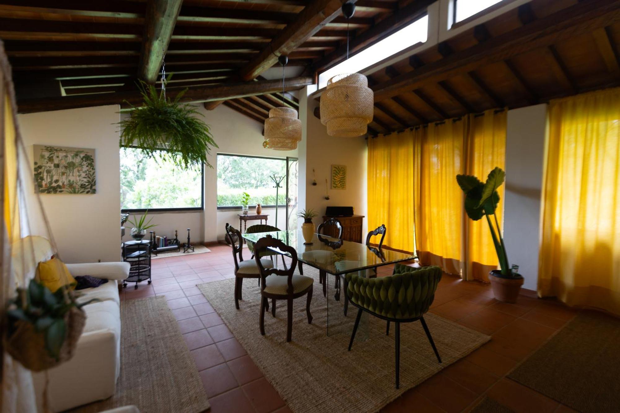 Olea Holiday home
